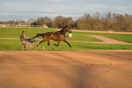 Grosbois-estate,-Drivers,-French-Trotters,-Grosbois,-Harness-racing,-Horse,-Horses,-Kaleidos,-Kaleidos-images,-La-parole-à-limage,-Marolles-en-Brie,-Sulkies,-Sulky,-Tarek-Charara,-Trotters